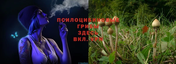 гашишное масло Армянск